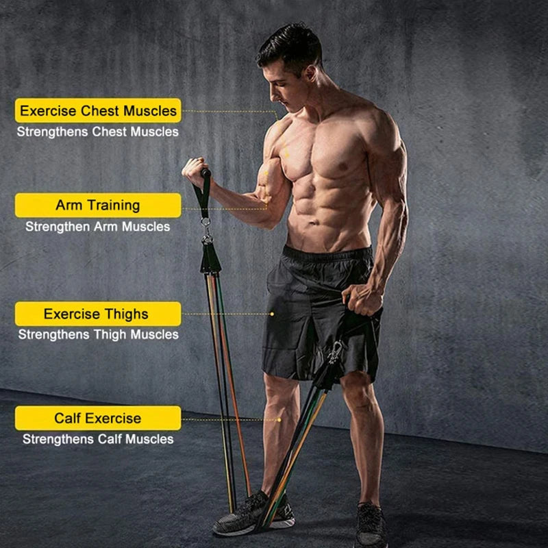 Resistance Bands Set – Elastic Training Bands with Door Anchor, Handles & Ankle Straps